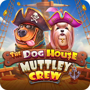 THE DOG HOUSE – MUTTLEY CREW