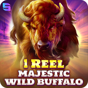 1 REEL - MAJESTIC WILD BUFFALO