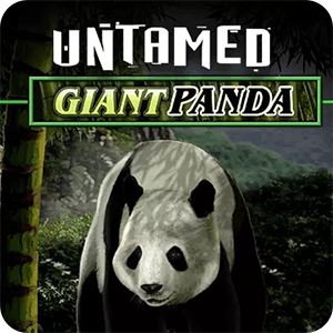 UNTAMED - GIANT PANDA