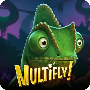 MULTIFLY!