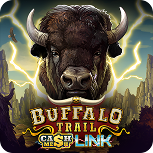 Buffalo Trail – Cash Mesh LINK
